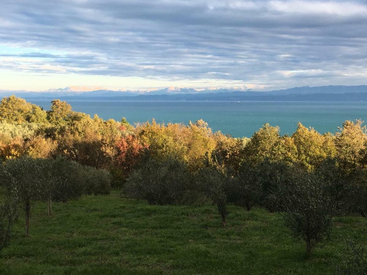 Apartma Fontana Izola